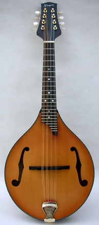 shippey a5 mandolin